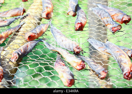 Dried fish Stock Photo