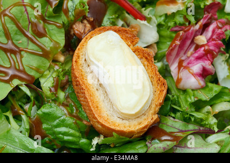 crouton with soft cheese on green lettuche with dressing close up Stock Photo