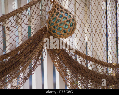 Glass fishing net float on tree at beach in Thailand Stock Photo - Alamy