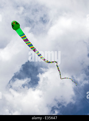 Serpent snake shaped kite against a Colorado sky Stock Photo