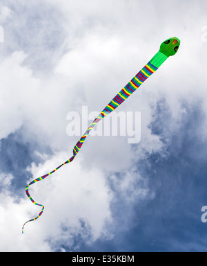 Serpent snake shaped kite against a Colorado sky Stock Photo