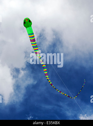 Serpent snake shaped kite against a Colorado sky Stock Photo