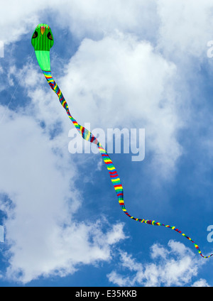 Serpent snake shaped kite against a Colorado sky Stock Photo