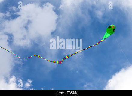 Serpent snake shaped kite against a Colorado sky Stock Photo