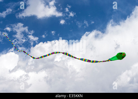 Serpent snake shaped kite against a Colorado sky Stock Photo