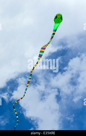 Serpent snake shaped kite against a Colorado sky Stock Photo