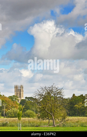 Tower of Magdalen College, Oxford, seen from the distance of Christ Church meadows Stock Photo