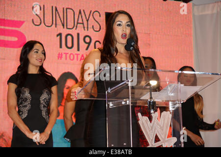 Celebrities attend WWE SummerSlam Press Conference at Beverly Hills Hotel.  Featuring: Brie Bella,Nikki Bella Where: Los Angeles, CA, United States When: 13 Aug 2013 Stock Photo