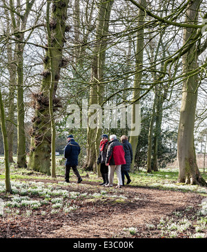 Spring light on the trees and snow drops at Burton Agnes Hall, near Driffield Stock Photo
