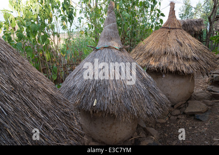 Crop storage houses. Awra Amba ideological village. Northern Ethiopia. Stock Photo