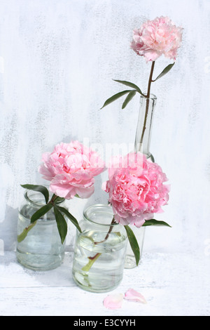 Beautiful pink peonies in glass vase on white painted background, still life Stock Photo