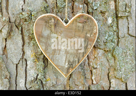 carved wooden heart on bark tree Stock Photo