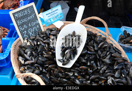 basket of mussels on french seafood market stall, rennes, brittany, france Stock Photo