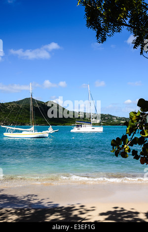 Boats moored in Falmouth Harbour, Antigua Stock Photo