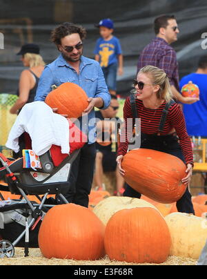 Johnny Galecki and girlfriend Kelli Garner seen choosing pumpkins at Mr Bones Pumpkin Patch in West Hollywood  Featuring: Johnny Galecki,Kelli Garner Where: Los Angeles, CA, United States When: 27 Oct 2013 Stock Photo