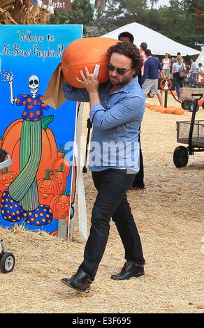 Johnny Galecki and girlfriend Kelli Garner seen choosing pumpkins at Mr Bones Pumpkin Patch in West Hollywood  Featuring: Johnny Galecki Where: Los Angeles, CA, United States When: 27 Oct 2013 Stock Photo