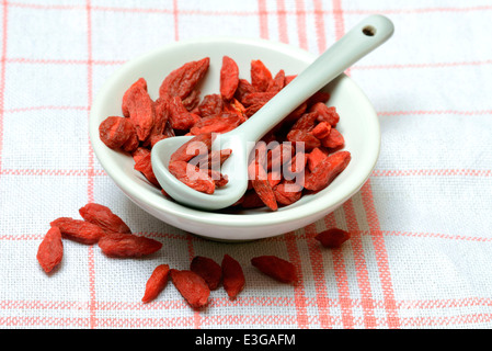 Lycium barbarum Stock Photo