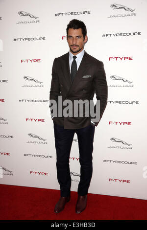 Celebrities attend Jaguar Introduction to The NEW F-TYPE Coupe - Most Dynamic Car Reveal at Raleigh Studios Playa Vista in Playa Vista  Featuring: David Gandy Where: Los Angeles, California, United States When: 20 Nov 2013 Stock Photo