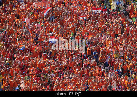 Sao Paulo, Brazil. 23rd June, 2014. Fans of Netherlands celebrates goal over Chile in the Group B match of the FIFA 2014 World Cup at the Arena Corinthians, east of Sao Paulo, southeastern Brazil, on June 23, 2014. Holland won 2 to 0. Credit:  dpa picture alliance/Alamy Live News Stock Photo