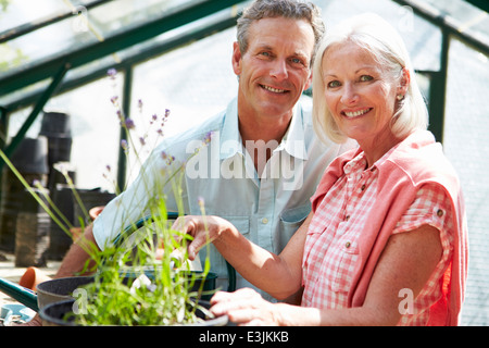Middle Aged Couple Working Together In Greenhouse Stock Photo