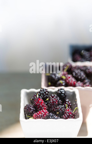 ceramic pots filled with Spanish grown mulberries on wooden table Stock Photo