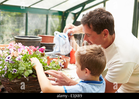 Father And Son Watering Plants In Greenhouse Stock Photo