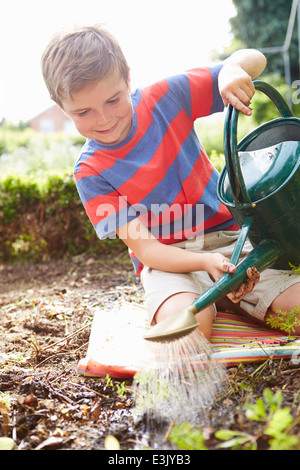 Boy Watering Seedlings In Ground On Allotment Stock Photo