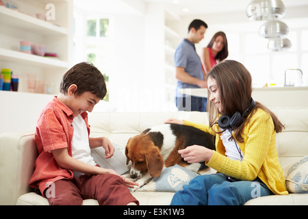 Children Playing With Dog On Sofa As Parents Make Meal Stock Photo