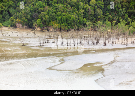 Aerial view from beach at low tide Stock Photo