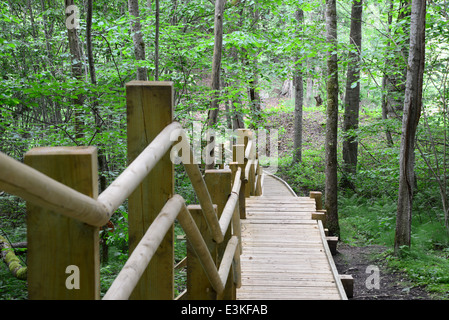 Wooden bridge in the forest. Sigulda. Stock Photo