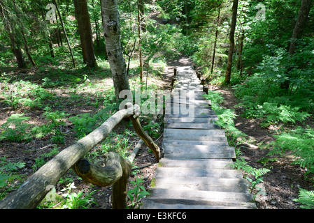 Old wooden stairs in the forest. Sigulda. Stock Photo