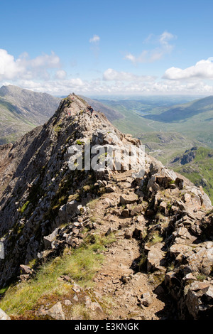 View back along red rocks on Crib Goch summit ridge top at start of Snowdon Horseshoe in mountains of Snowdonia North Wales UK Stock Photo