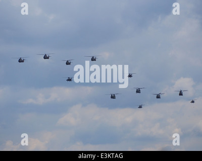 A lot of Royal Netherlands Air force helicopters in the air Stock Photo