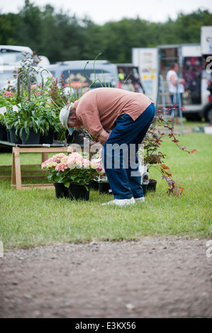 Sunday morning market Stock Photo