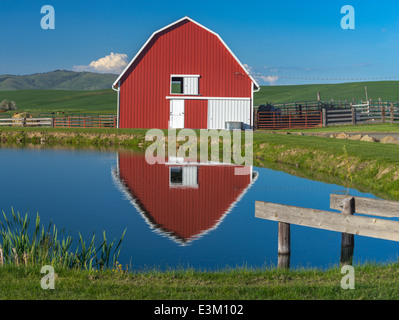 The Palouse, Whitman County, WA: Red barn and farm scene in evening ...