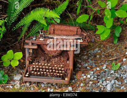 Rusted typewriter, Vancouver Island, British Columbia, Canada Stock Photo