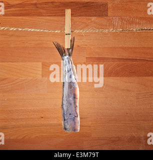 Typical Dutch salted herring called maatje or zoute haring hanging on a rope with clothespin Stock Photo