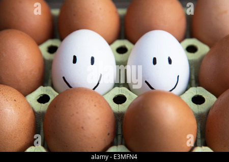 Couple of white eggs with happy faces surrounded by blank brown eggs. Stock Photo