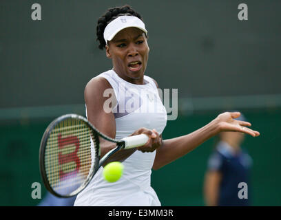 Wimbledon, London, UK. 25th June, 2014. Tennis, Wimbledon, AELTC, Venus Williams (USA) Photo: Tennisimages/Henk Koster/Alamy Live News Stock Photo