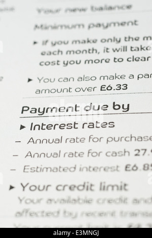 Payment information on a credit card statement Stock Photo