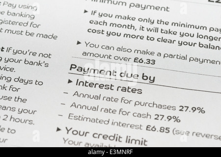 Payment information on a credit card statement Stock Photo