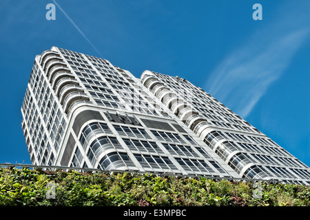 Abseiling window cleaners on the David Murry John building, Swindon, Wiltshire, UK, on a sunny day showing the living wall below Stock Photo