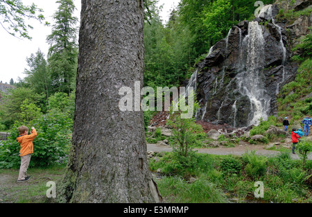 Radau Waterfall, Bad Harzburg, Harz Mountains, Lower Saxony, Germany Stock Photo