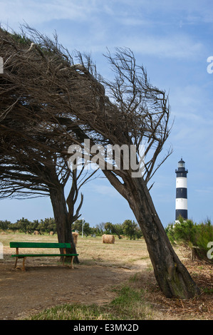 The lighthouse phare de Chassiron and windswept trees bent by coastal northern winds, Ile d'Oléron, Charente-Maritime, France Stock Photo