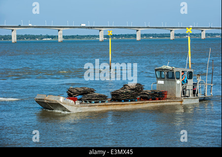 The bridge pont de l'île d'Oléron and flat bottomed oyster boat with bags of harvested oysters at Bourcefranc-le-Chapus, France Stock Photo