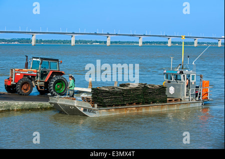 The bridge pont de l'île d'Oléron and flat bottomed oyster boat with bags of harvested oysters at Bourcefranc-le-Chapus, France Stock Photo