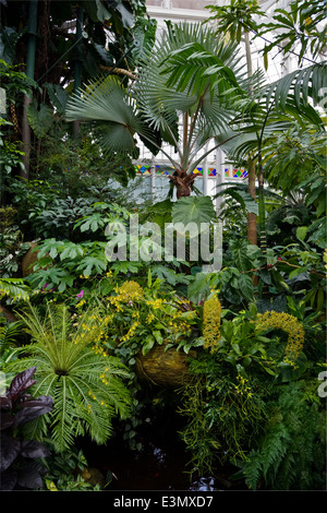 The CONSERVATOR OF FLOWERS is a botanical greenhouse located in GOLDEN GATE PARK - SAN FRANCISCO, CALIFORNIA Stock Photo