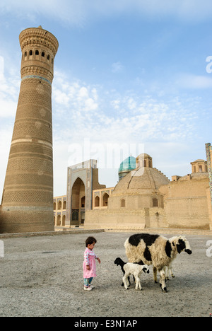 Girl with sheep, Bukhara, Uzbekistan, Asia Stock Photo - Alamy