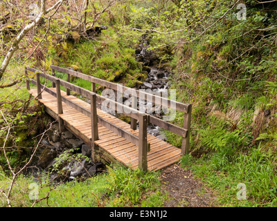 Wooden footbridge over tumbling woodland stream, Kinloch Forest, Isle of Skye, Scotland, UK Stock Photo