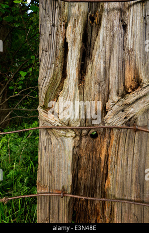 Old railway sleeper used as fence post Stock Photo